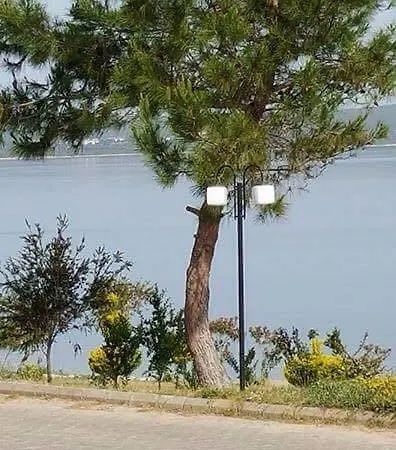 Keskin Holiday Homes *